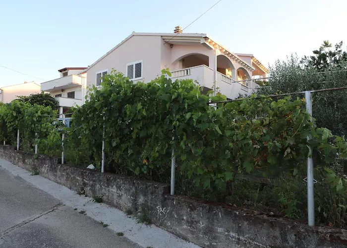 Sergej - Vito * Drače